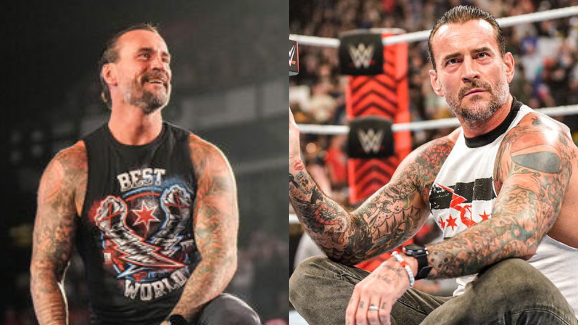 CM Punk (Image Credits: WWE.com)