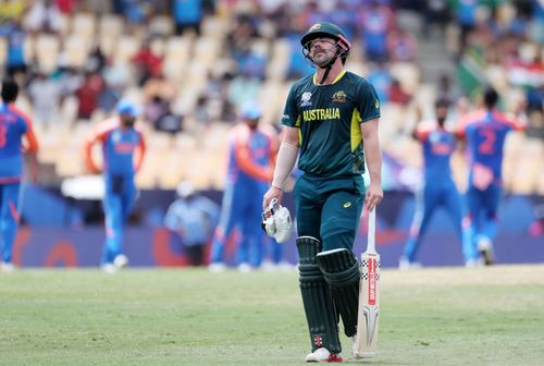 Travis Head at ICC Men's T20 Cricket World Cup West Indies & USA 2024 - Source: Getty