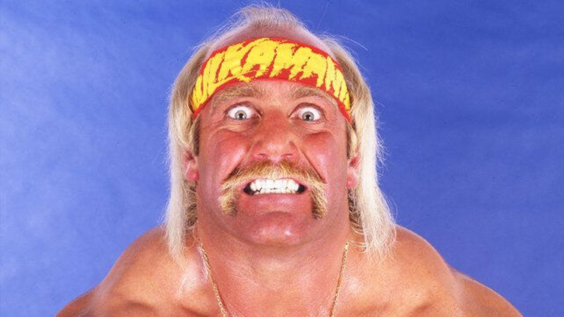 Hulk Hogan [Image credits: WWE.com]