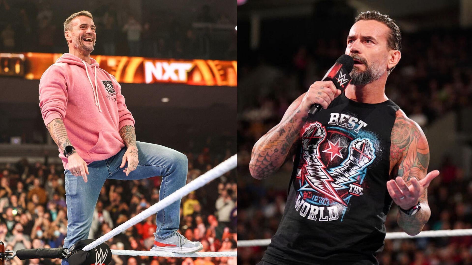 CM Punk will face Drew McIntyre in a Hell in a Cell match at Bad Blood [Image Credits: WWE.com]