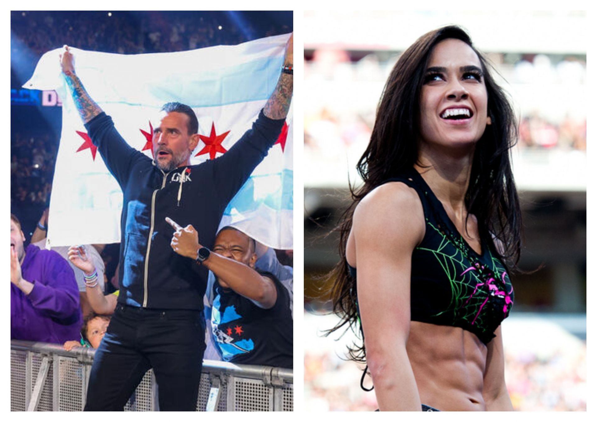 CM Punk and his wife AJ Lee (Photo credit: WWE.com)