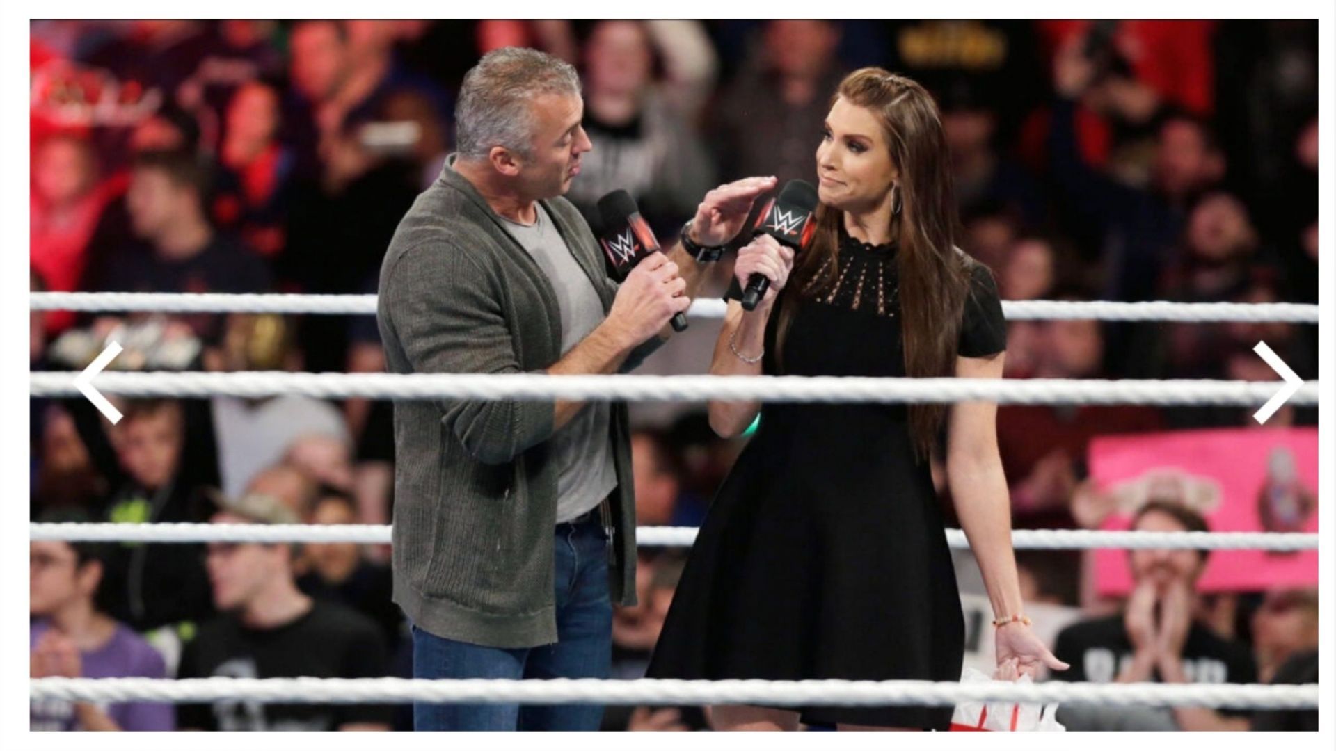 Stephanie and Shane McMahon (photo credit: WWE.com)