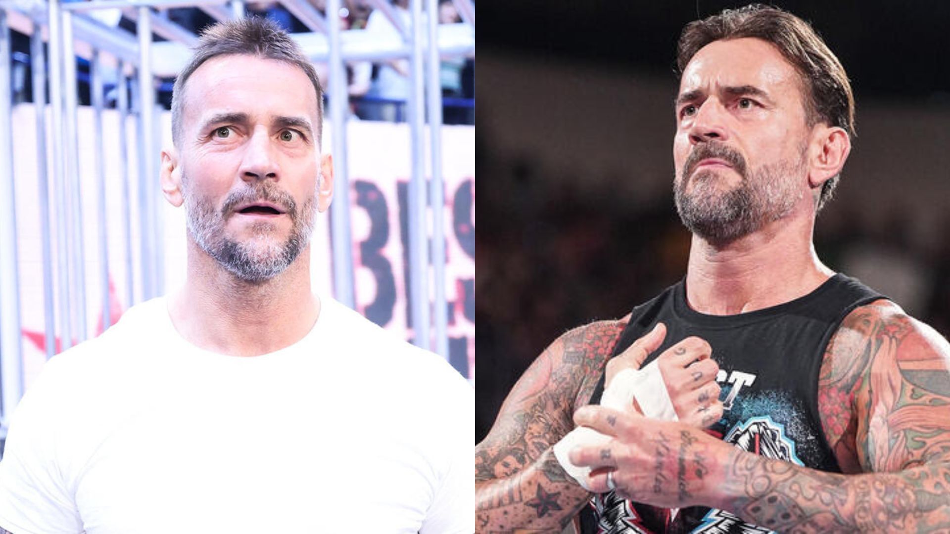 WWE veteran feels CM Punk missed a big match following his return (Image Credits: WWE.com)