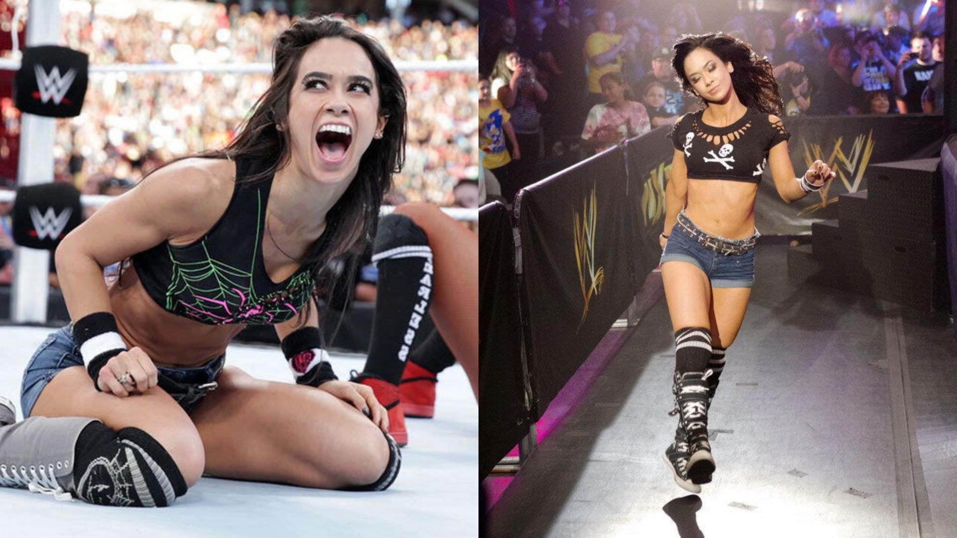 AJ Lee (Images credit: WWE.com)