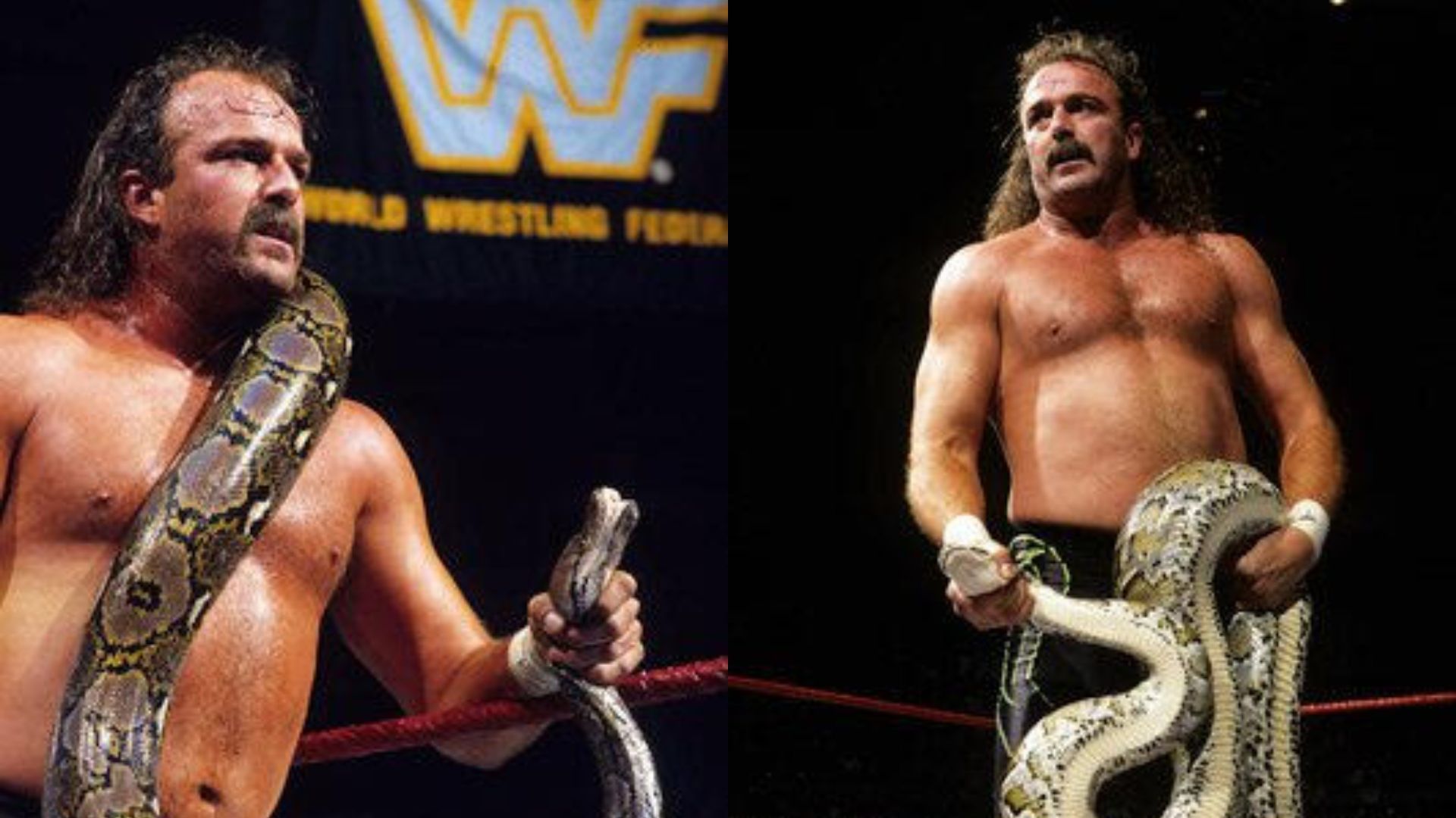 Jake Roberts is an iconic WWE wrestler (via WWE.com)