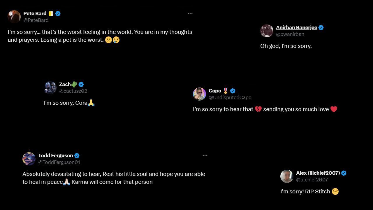 Fans respond to Jade&#039;s heartbreaking update (via her Twitter)