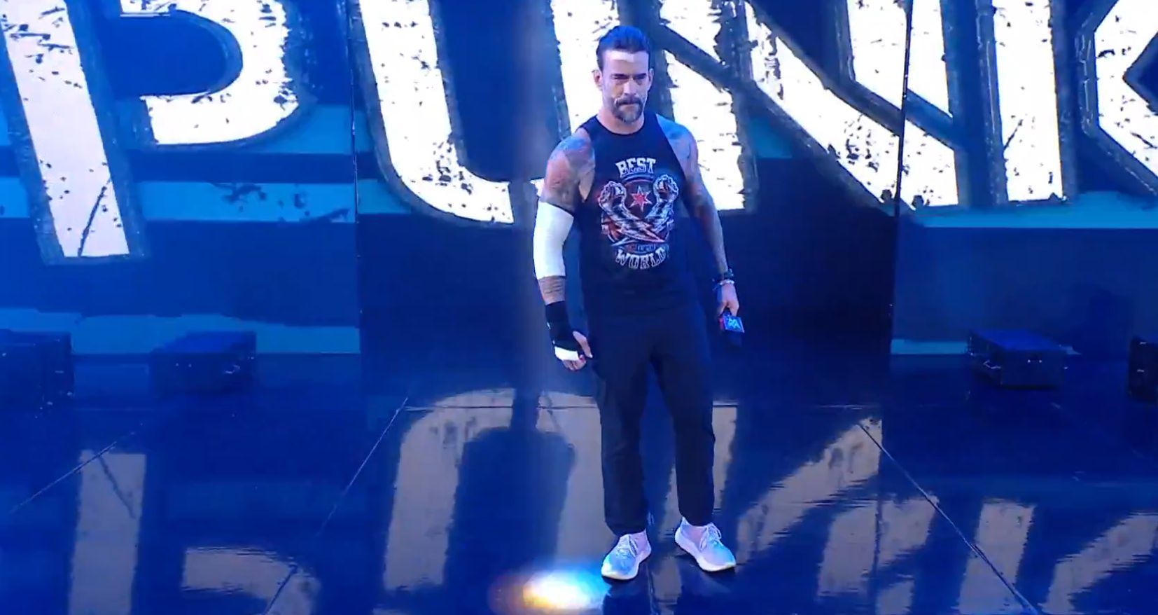 CM Punk has raised concerns over his long-term future (Image: wwe.com)