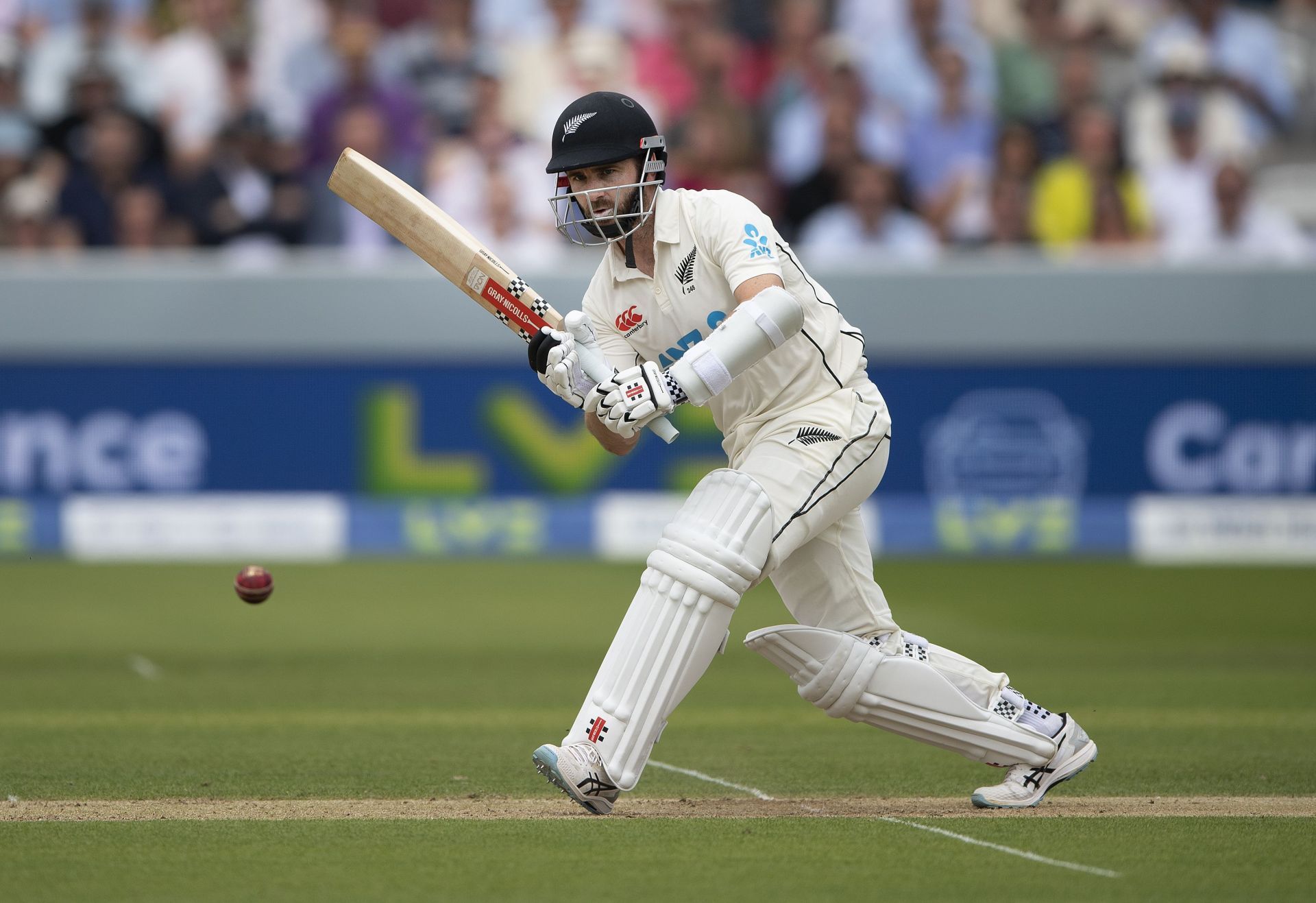 Kane Williamson ruled out of 3rd IND vs NZ 2024 Test