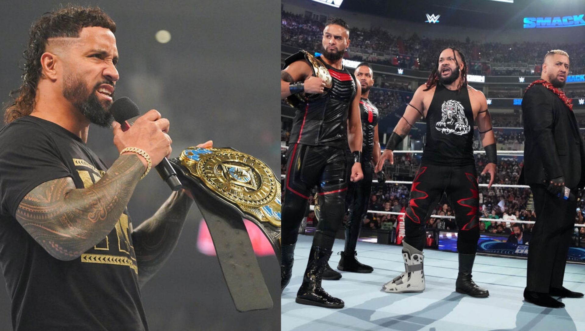 WWE में रियल लाइफ ब्लडलाइन मेंबर्स का दबदबा है (Photo: WWE.com)