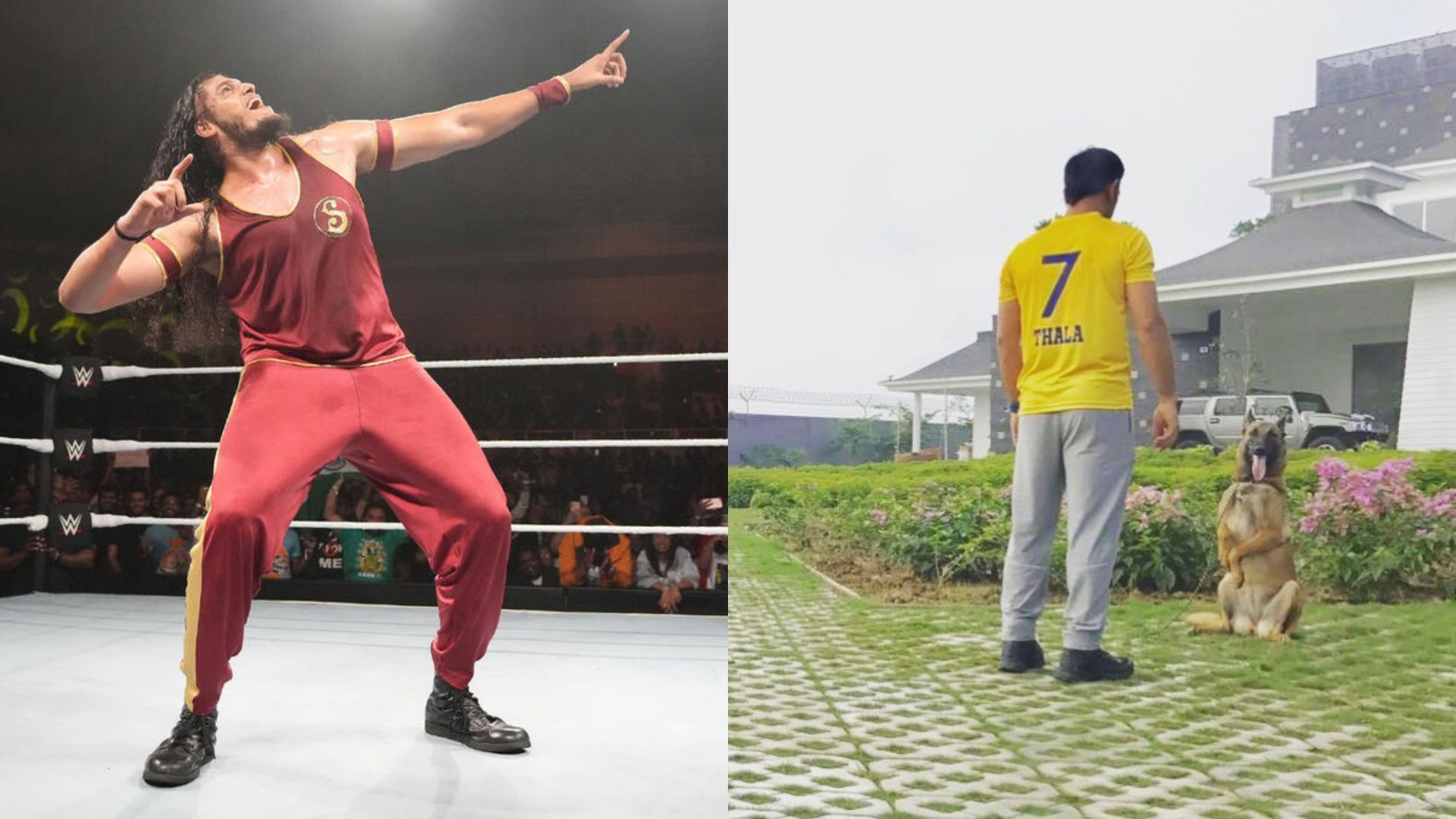 WWE सुपरस्टार ने क्रिकेट दिग्गज के साथ खिंचवाई फोटो (Photos: WWE.com and Mahendra Singh Dhoni Instagram)