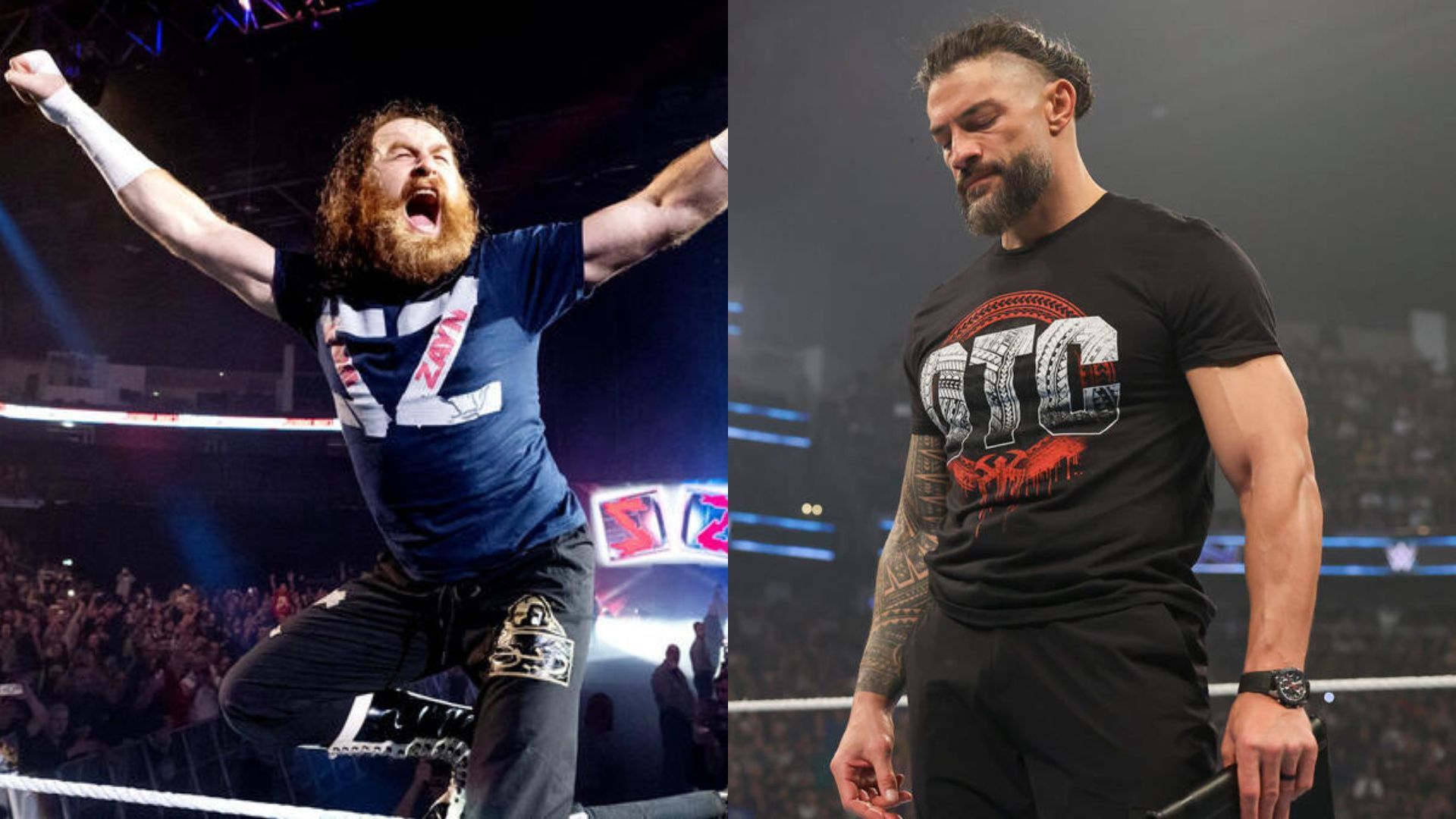 Sami Zayn and Roman Reigns have history [Image via wwe.com]