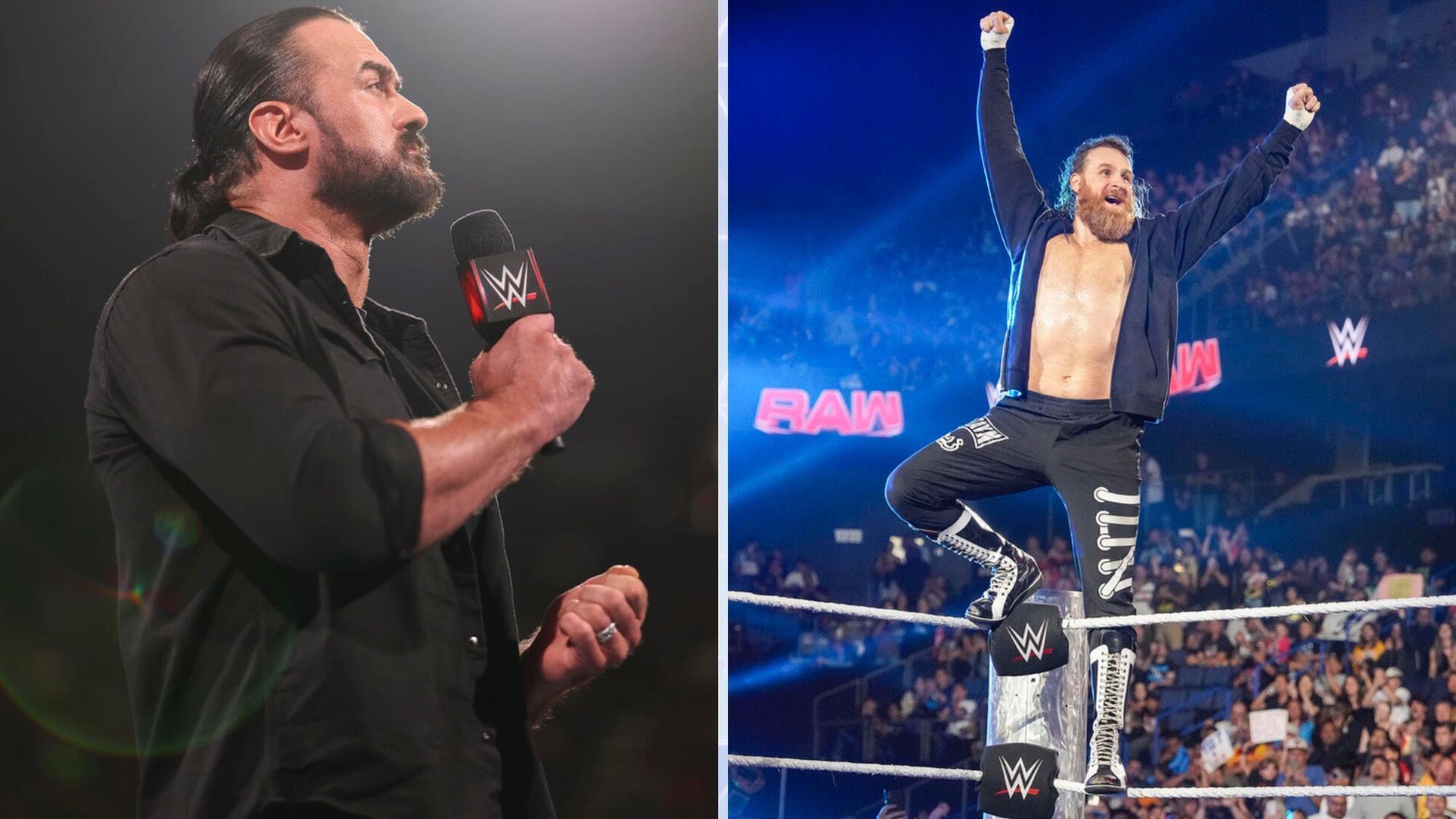 Some stars from WWE Monday Night RAW could move to SmackDown [Credit: WWE.com]