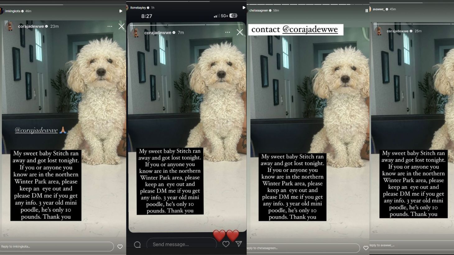 Bayley, Chelsea Green, Dakota Kai & others react after WWE star's