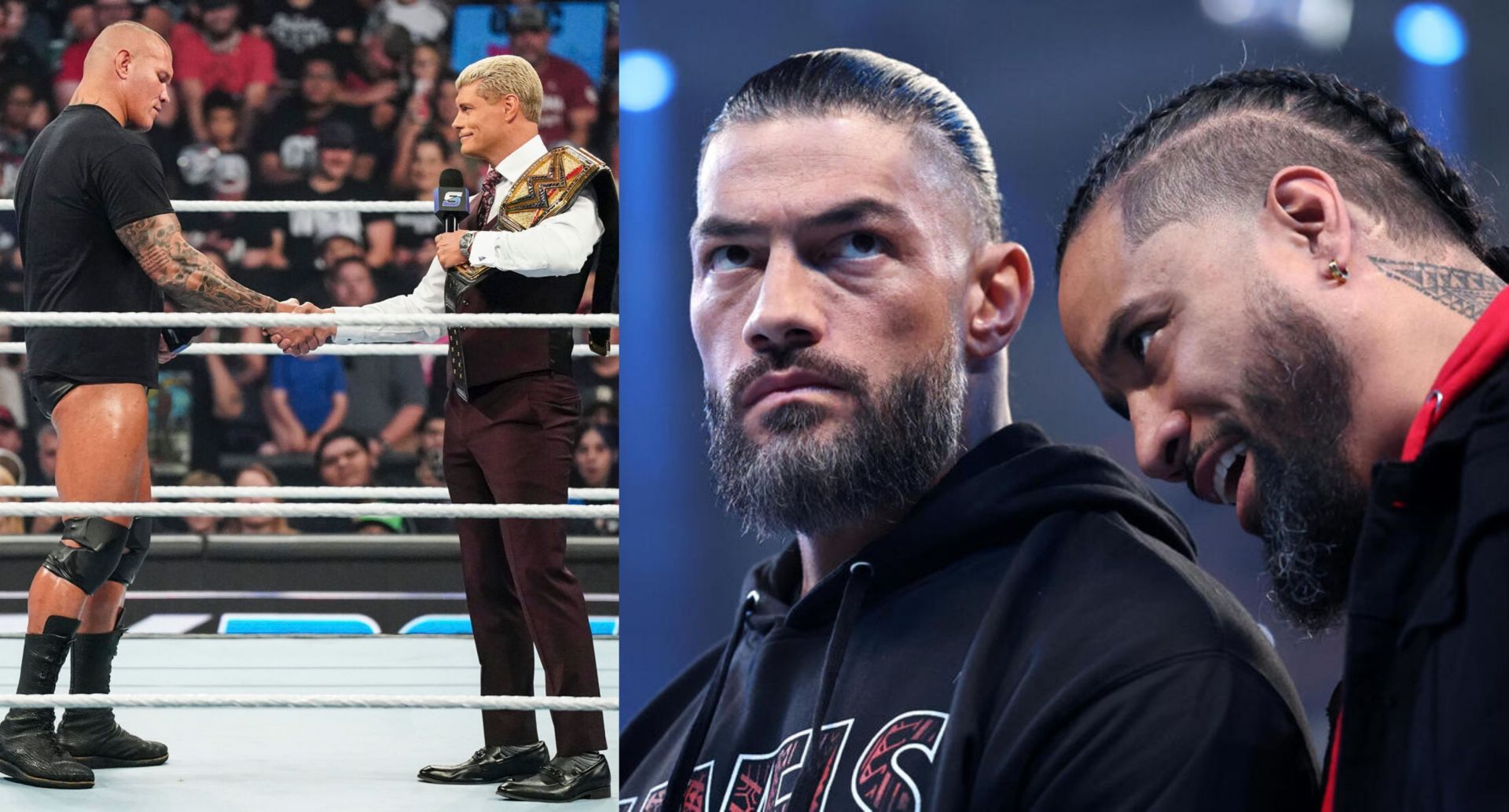 देखिए लिस्ट में किन WWE स्टार्स का नाम शामिल है? (Photo: WWE.com)