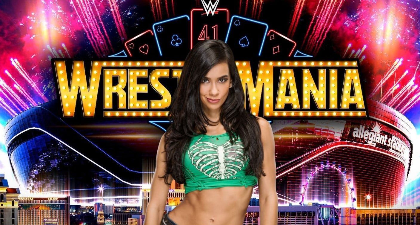 Former Divas Champion AJ Lee (Photo credit: WWE.com)