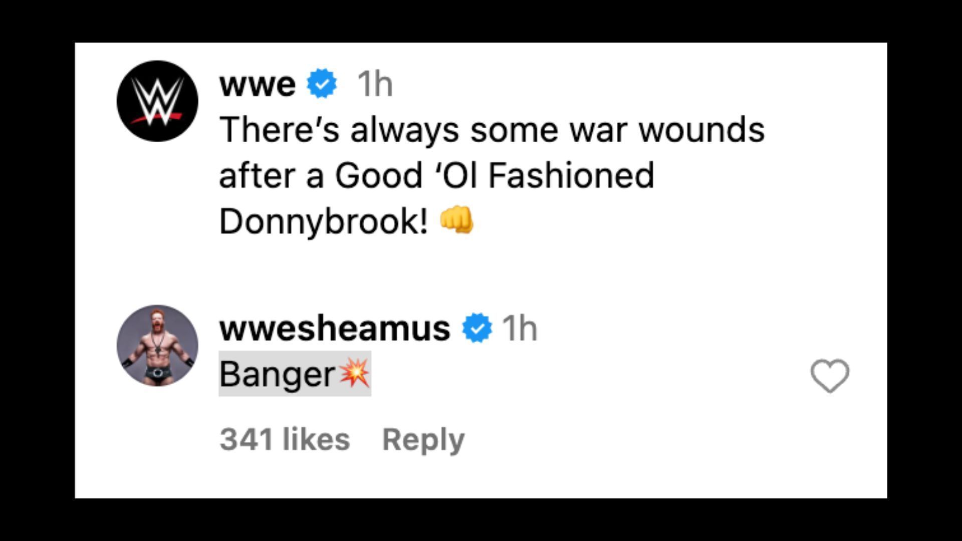 The Celtic Warrior sent a message following the Donnybrook Match against Dunne. [Screenshot of Sheamus&#039; comment on WWE&#039;s Instagram post]