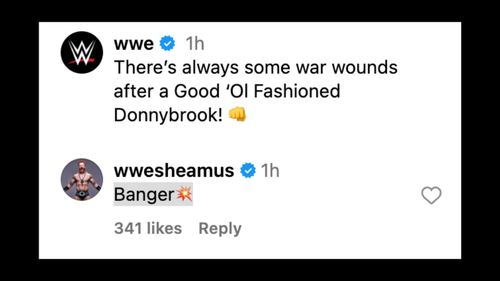 The Celtic Warrior sent a message following the Donnybrook Match against Dunne. [Screenshot of Sheamus' comment on WWE's Instagram post]