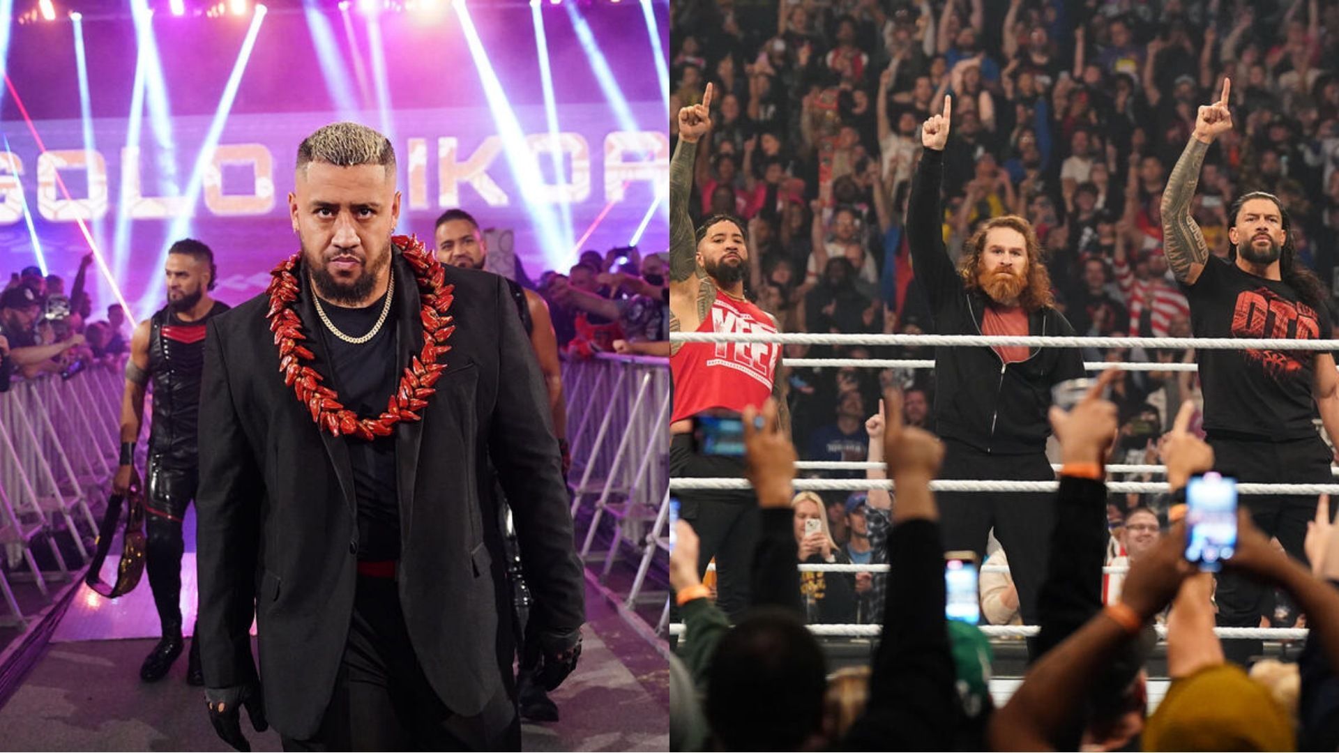 WWE, Survivor Series 2024, Roman Reigns, Solo Sikoa, Jacob Fatu, Bloodline, The Usos, Sami Zayn, 