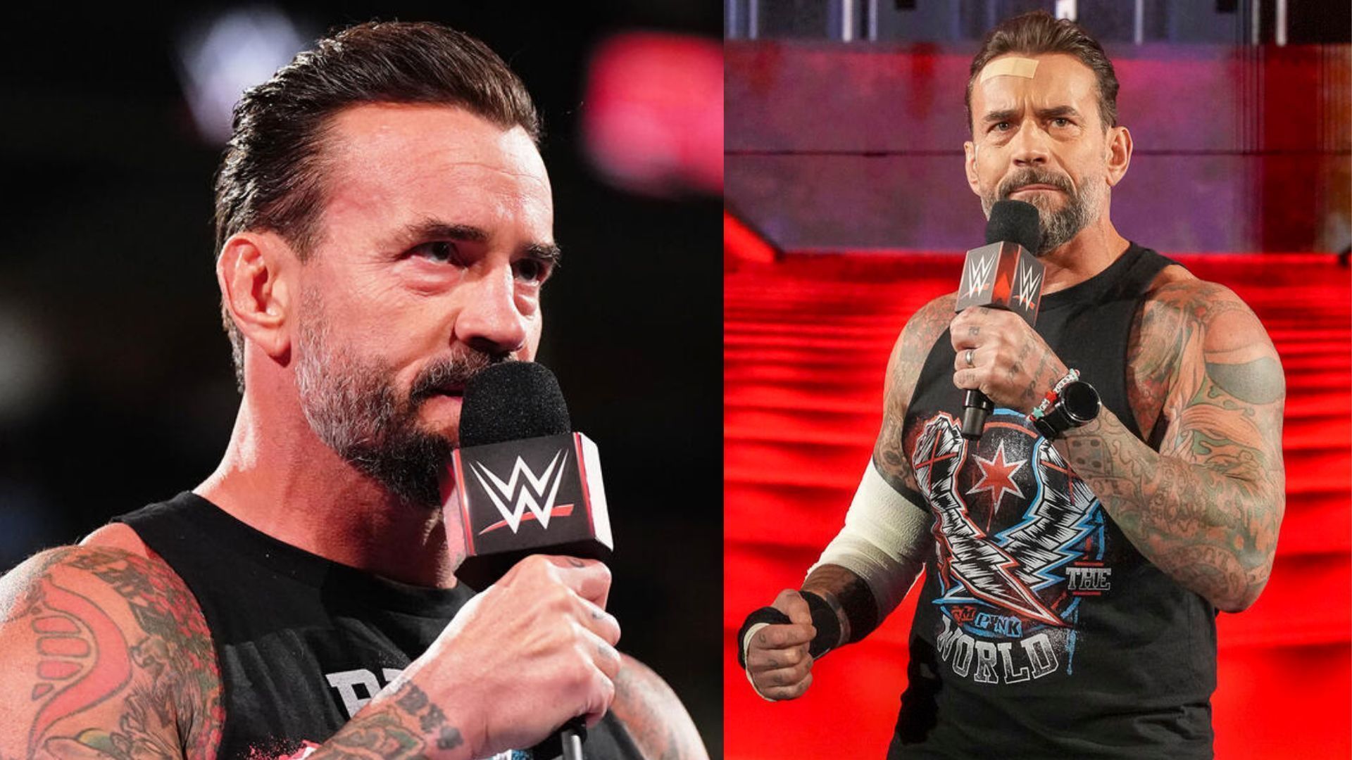 Punk has not appeared since the RAW following Bad Blood. [Photos: WWE.com]