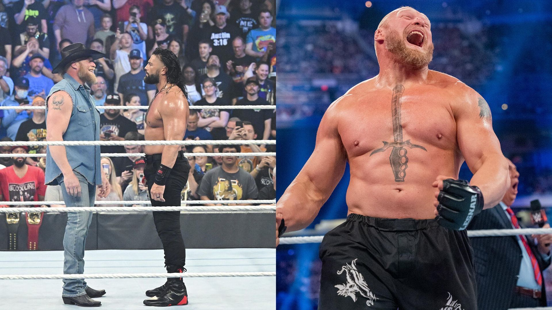 Brock Lesnar to team with his exrival; double retirement match with