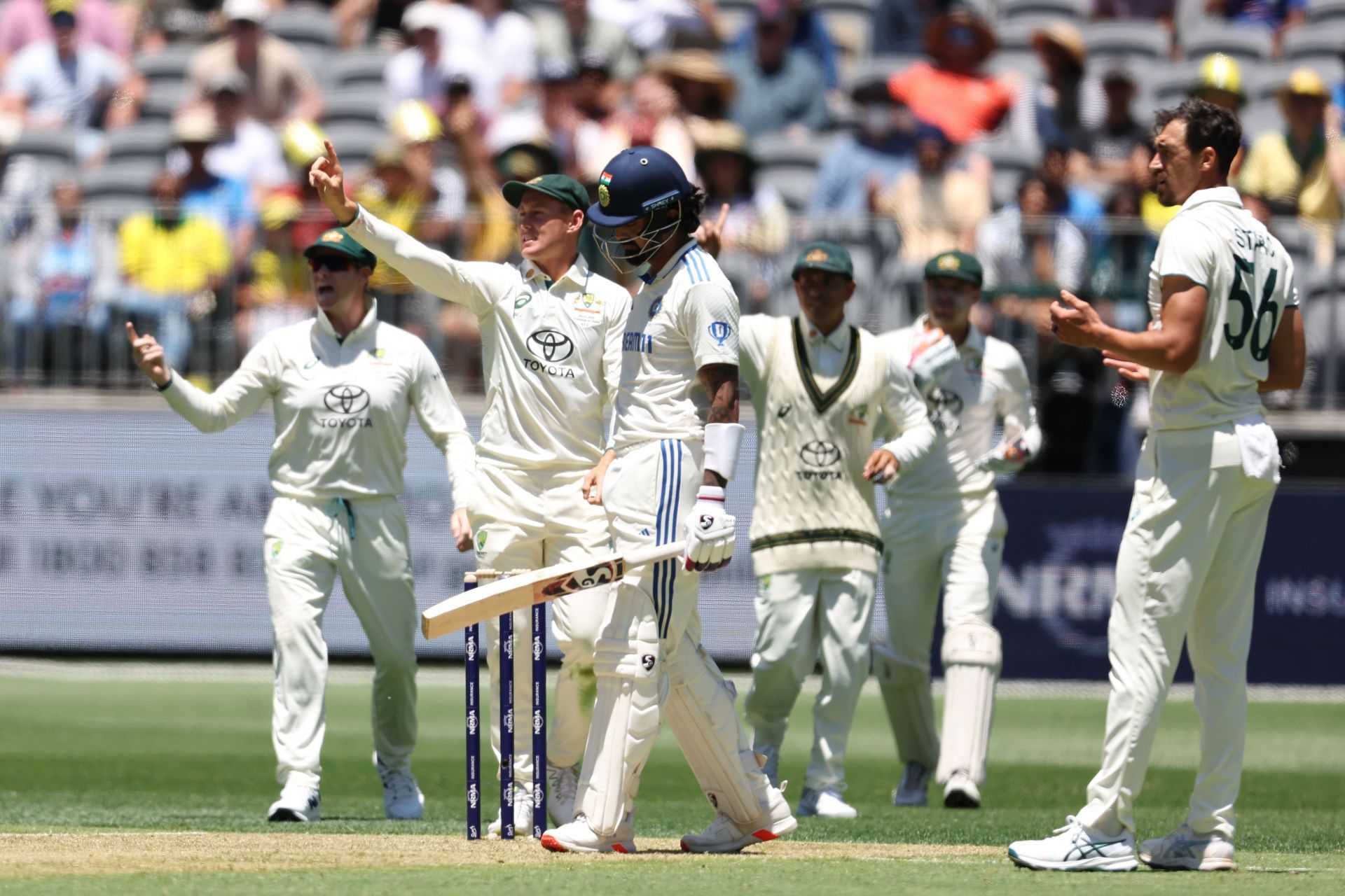 Australia v India - Men