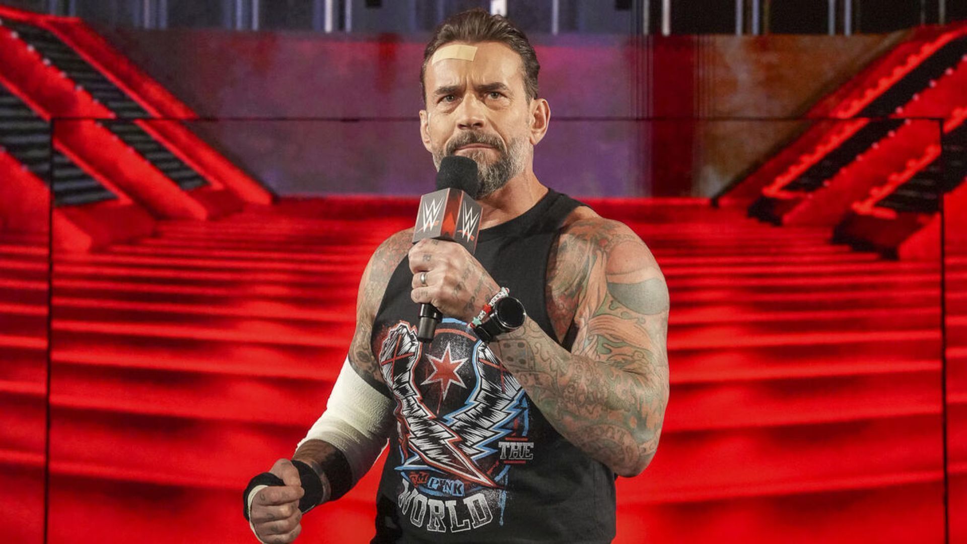 CM Punk will be fighting alongside Roman Reigns at WarGames [Image: WWE.com]