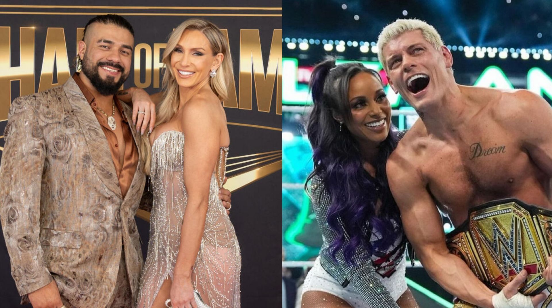 WWE के कुछ चैंपियन हैं, जिनकी पत्नी एक्शन से दूर हैं (Photo: WWE.com &amp; Brandi Rhodes Instagram)