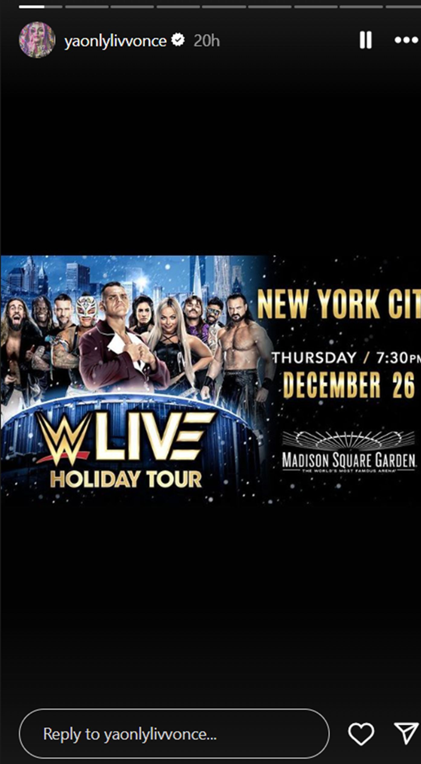 Liv Morgan shared the new poster (Credit: Liv Morgan on Instagram Stories)