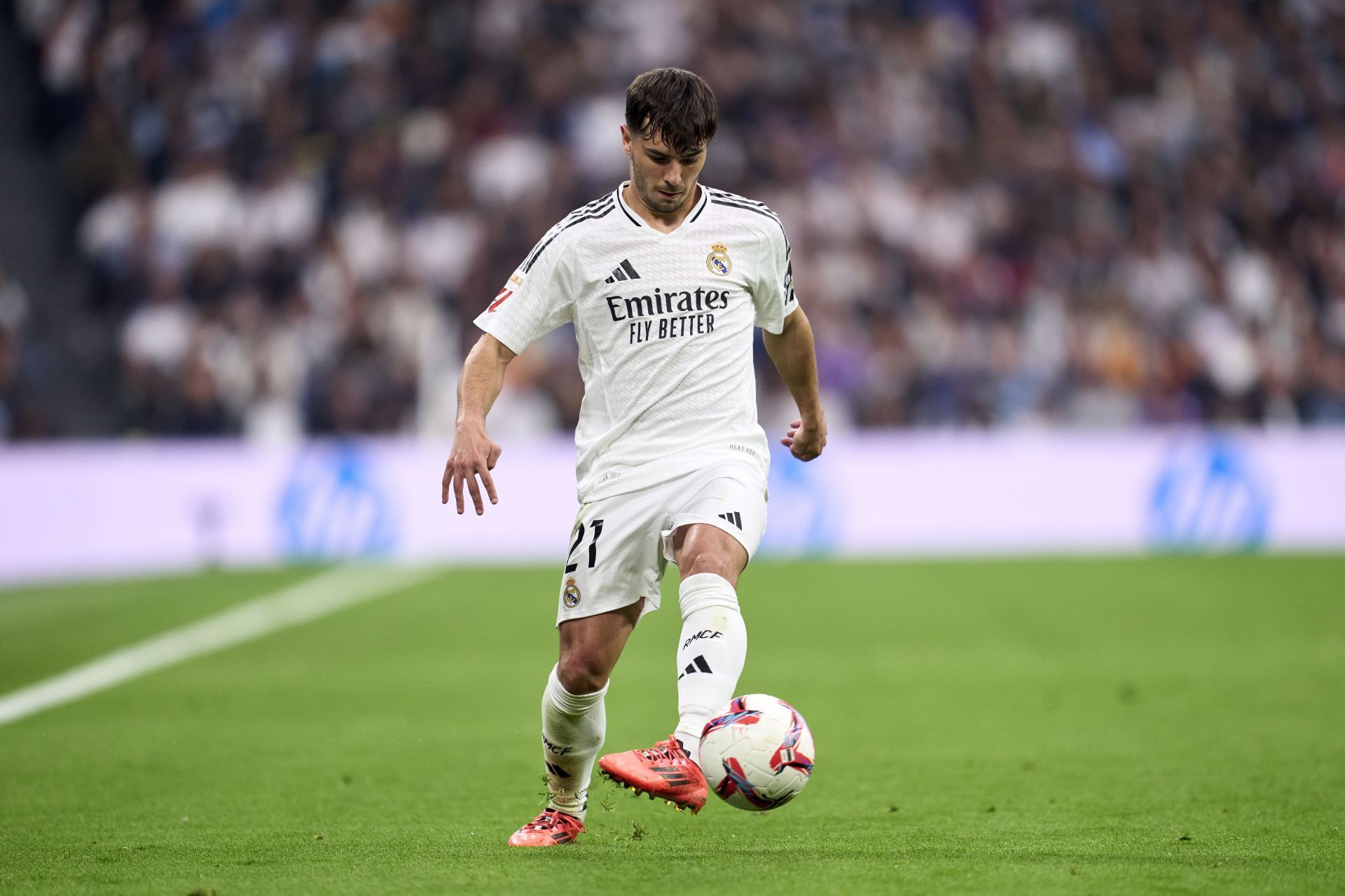 Real Madrid CF v CA Osasuna - La Liga EA Sports - Source: Getty