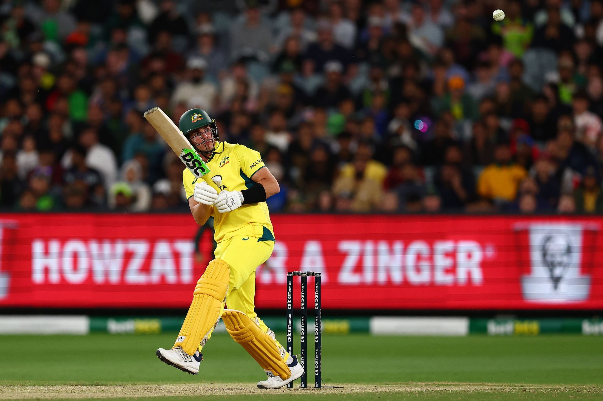 Australia v Pakistan - Men&#039;s ODI Series: Game 1 - Source: Getty