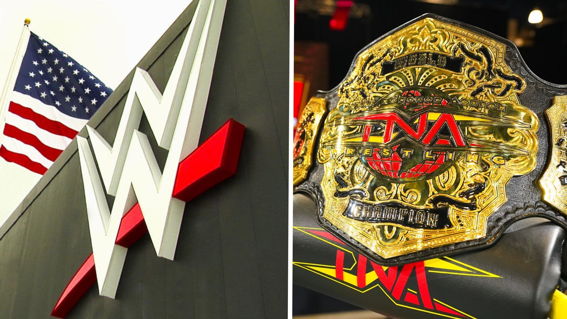 WWE and TNA has collaborated a lot recently [Image Credits: WWE.com and TNA Wrestling on X]