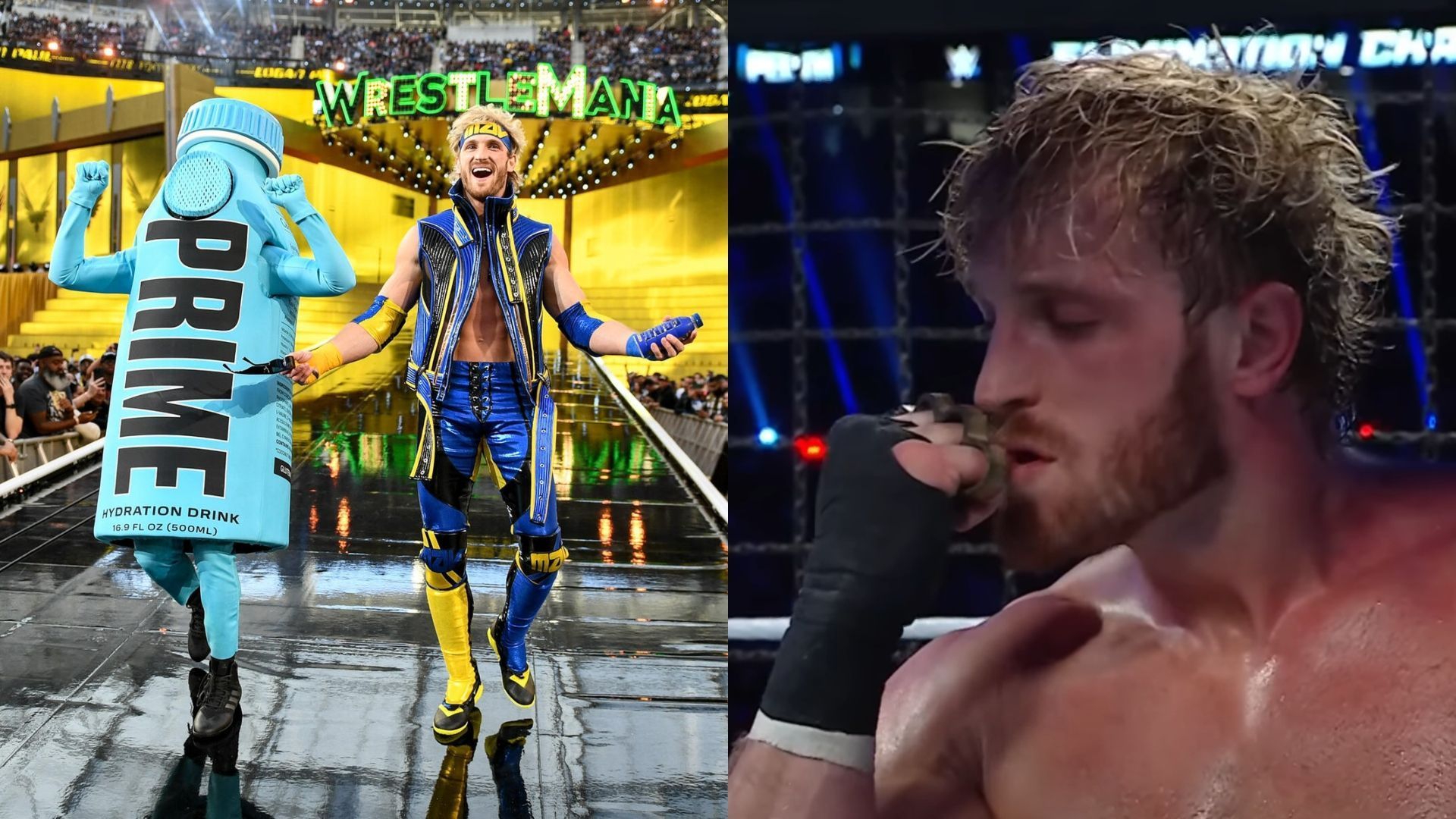 WWE Hall of Famer proposes a WrestleMania 41 opponent for Logan Paul