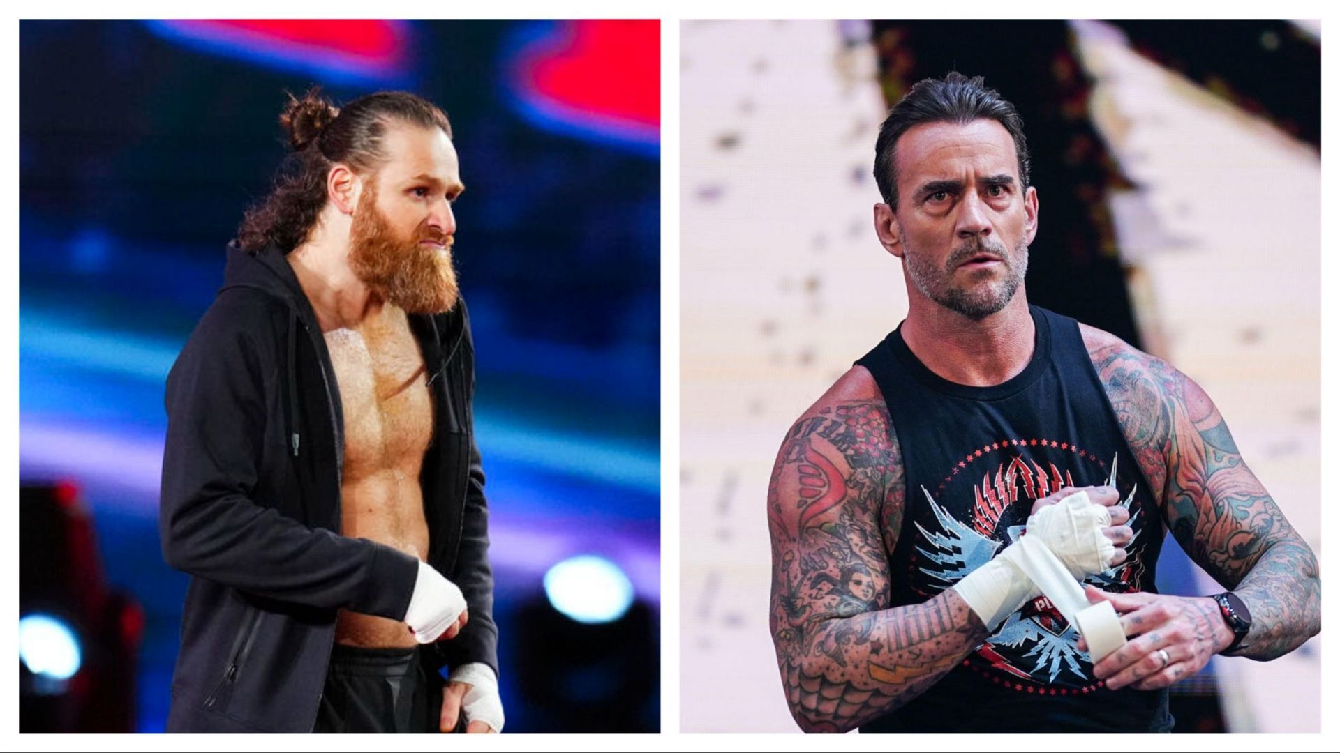 WWE superstars Sami Zayn and CM Punk (Photo credit: WWE.com)