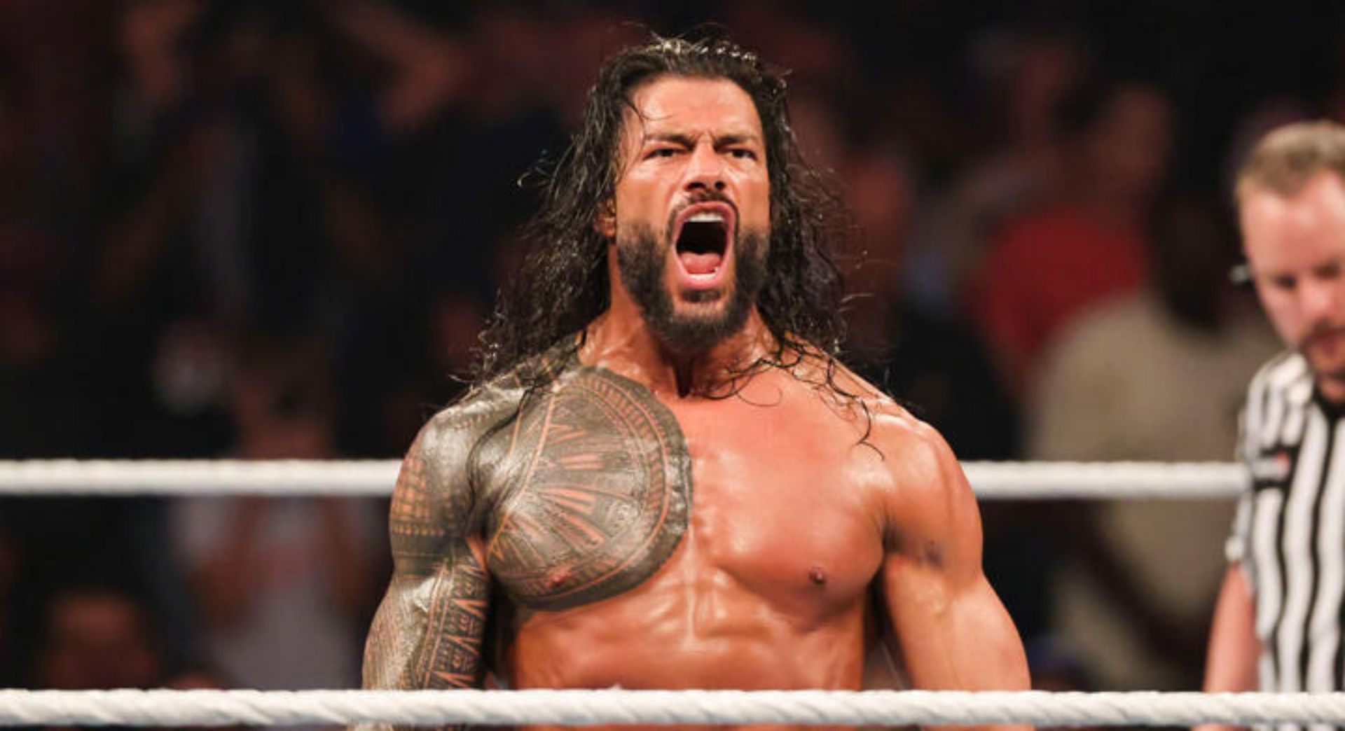 WWE की अहम लिस्ट सामने आई (Photo: WWE.com)