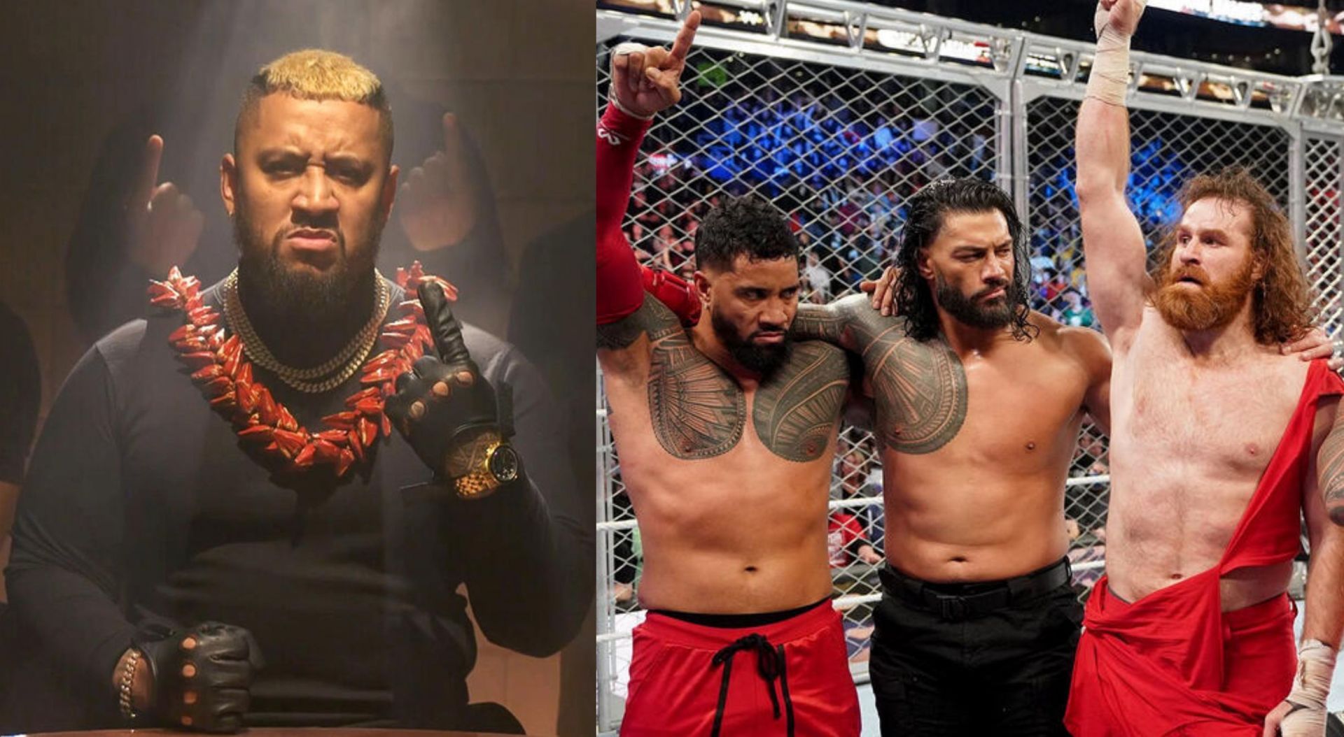 WWE Survivor Series में रोमन रेंस के मैच पर सभी की नज़र है (Photo: WWE.com)