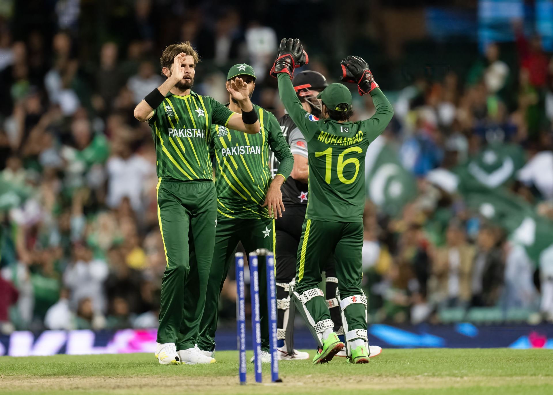 New Zealand v Pakistan - ICC Men&#039;s T20 World Cup: Semi Final - Source: Getty