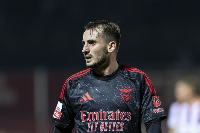 Benfica vs Estoril Praia Prediction and Betting Tips | December 23rd 2024
