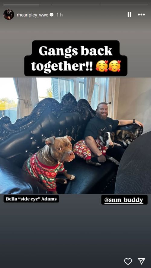 A screenshot of Rhea Ripley's Instagram story.