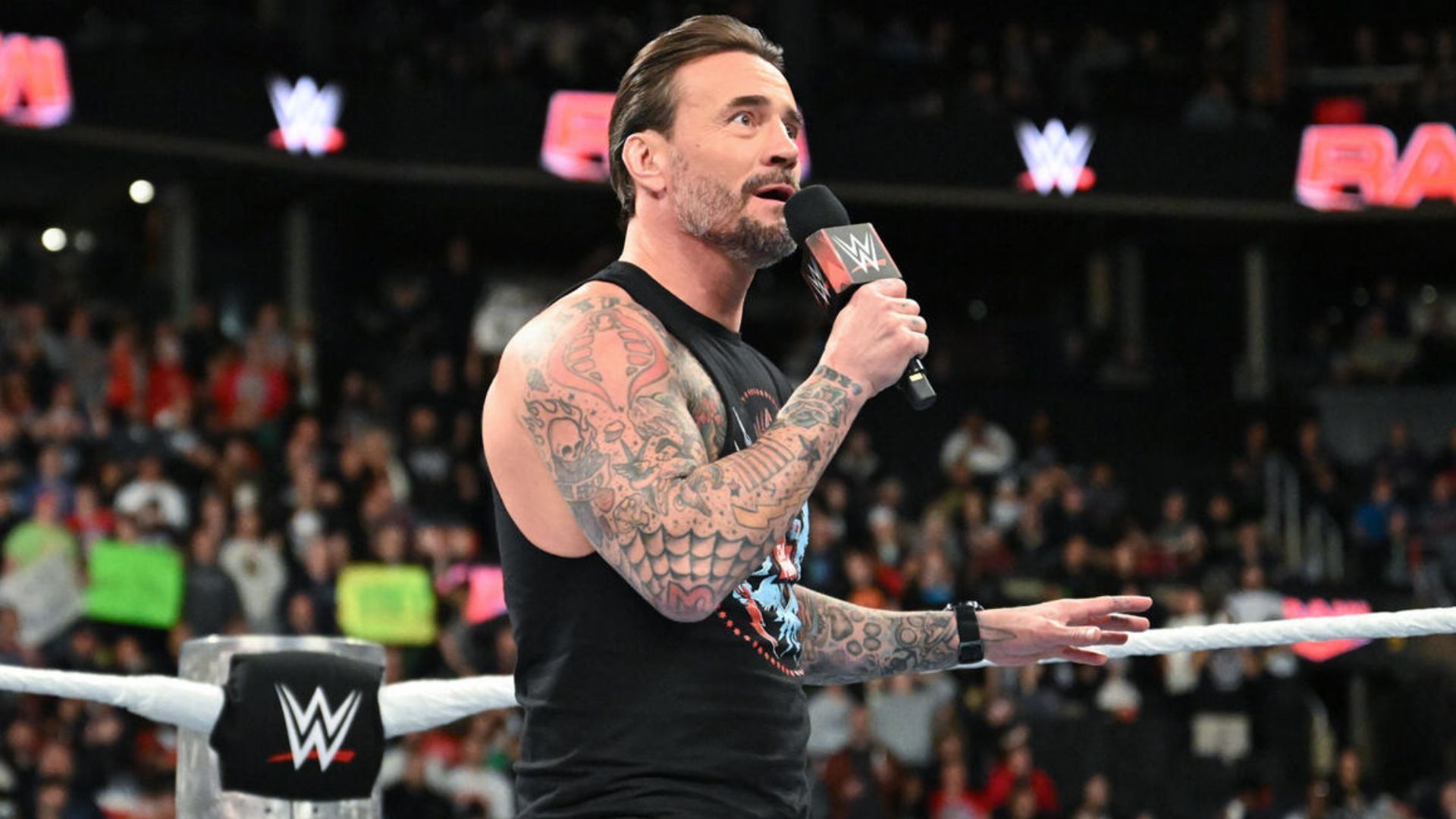 CM Punk is one of the top babyfaces in WWE [Image: WWE.com]