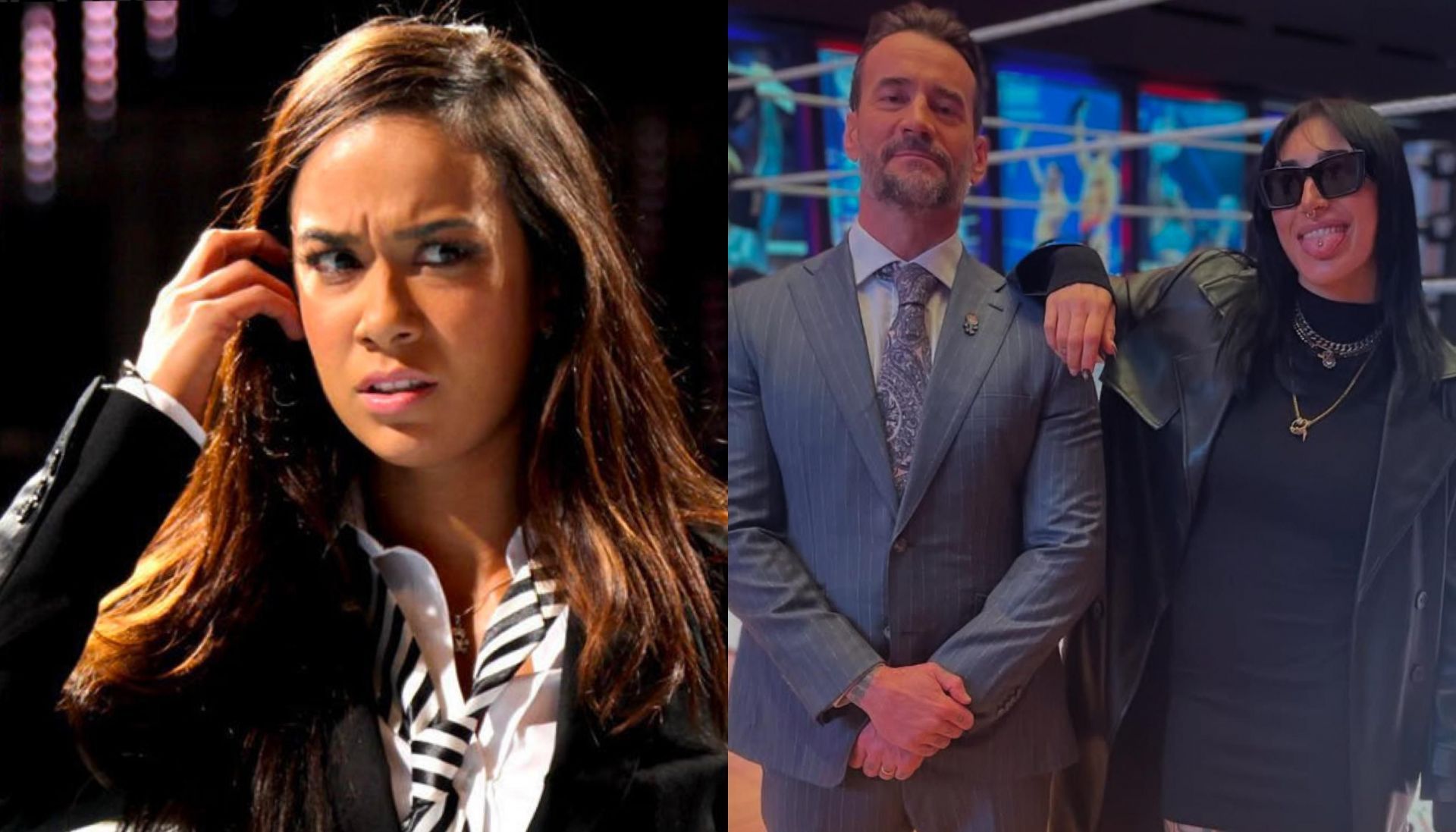 AJ Lee retired from pro wrestling in 2015 (Image Credits: WWE.com, CM Punk