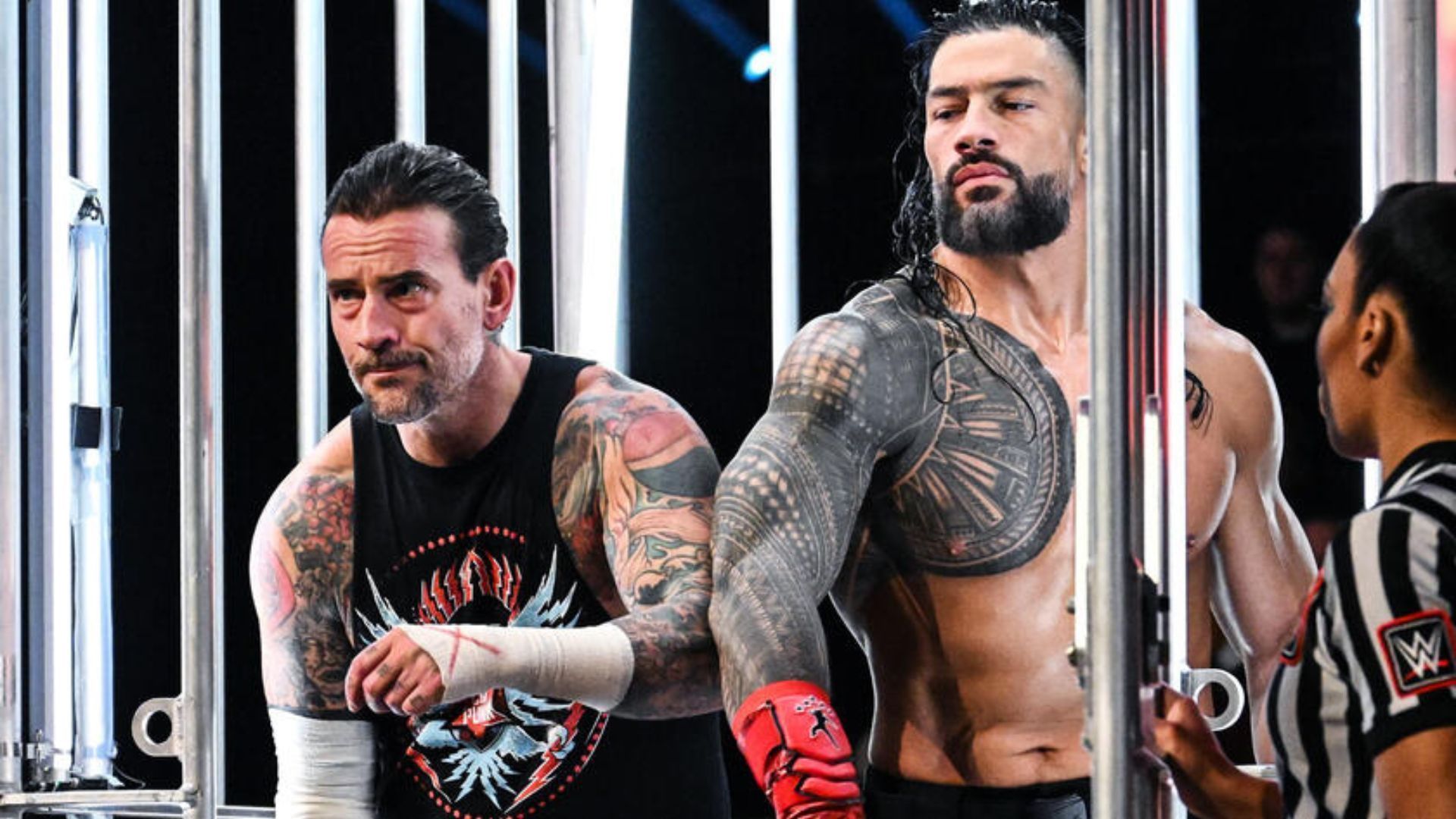 CM Punk and Roman Reigns (Image Credits: WWE.com)