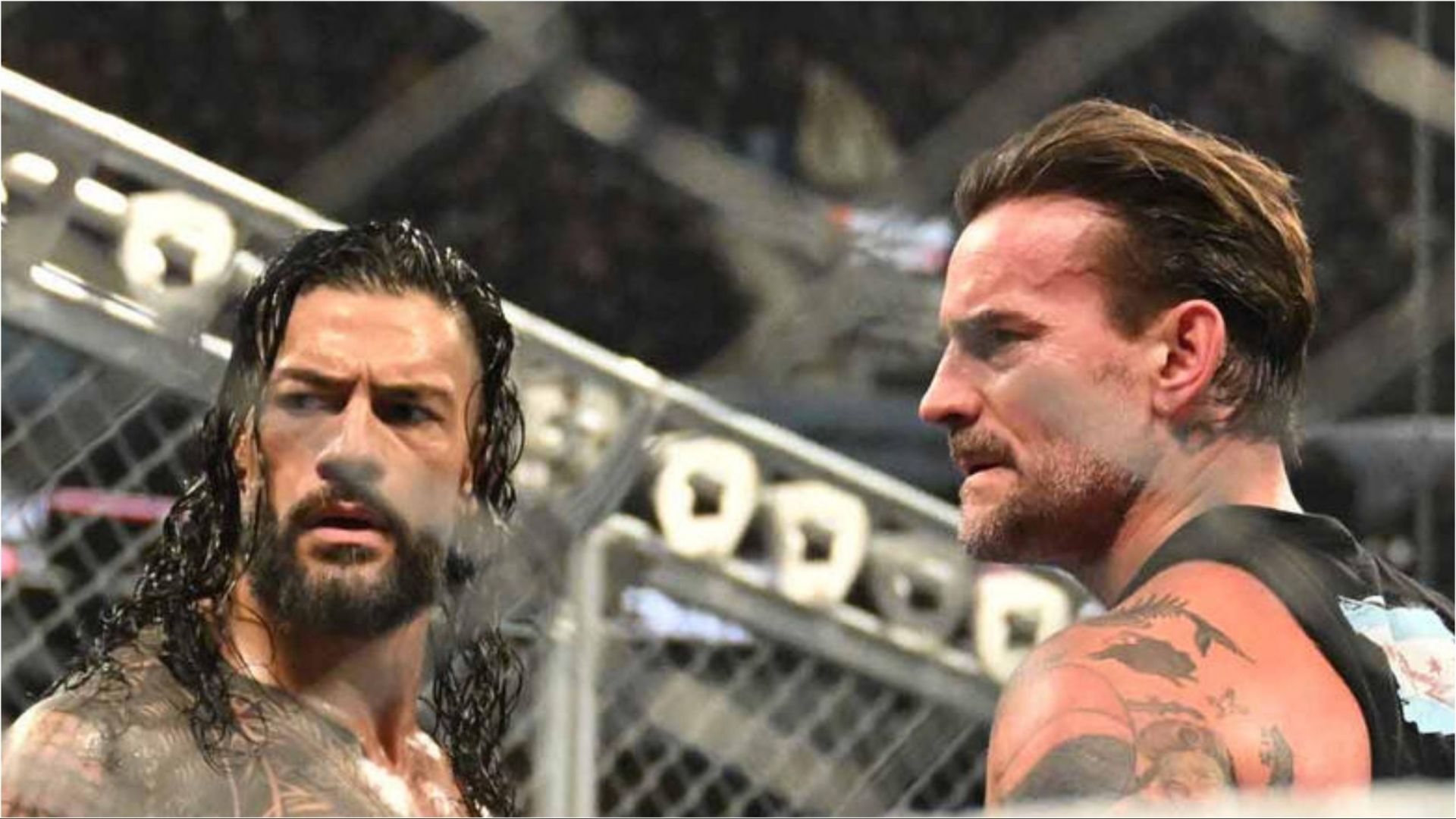 Roman Reigns &amp; CM Punk at Survivor Series (Photo credit: WWE.com)