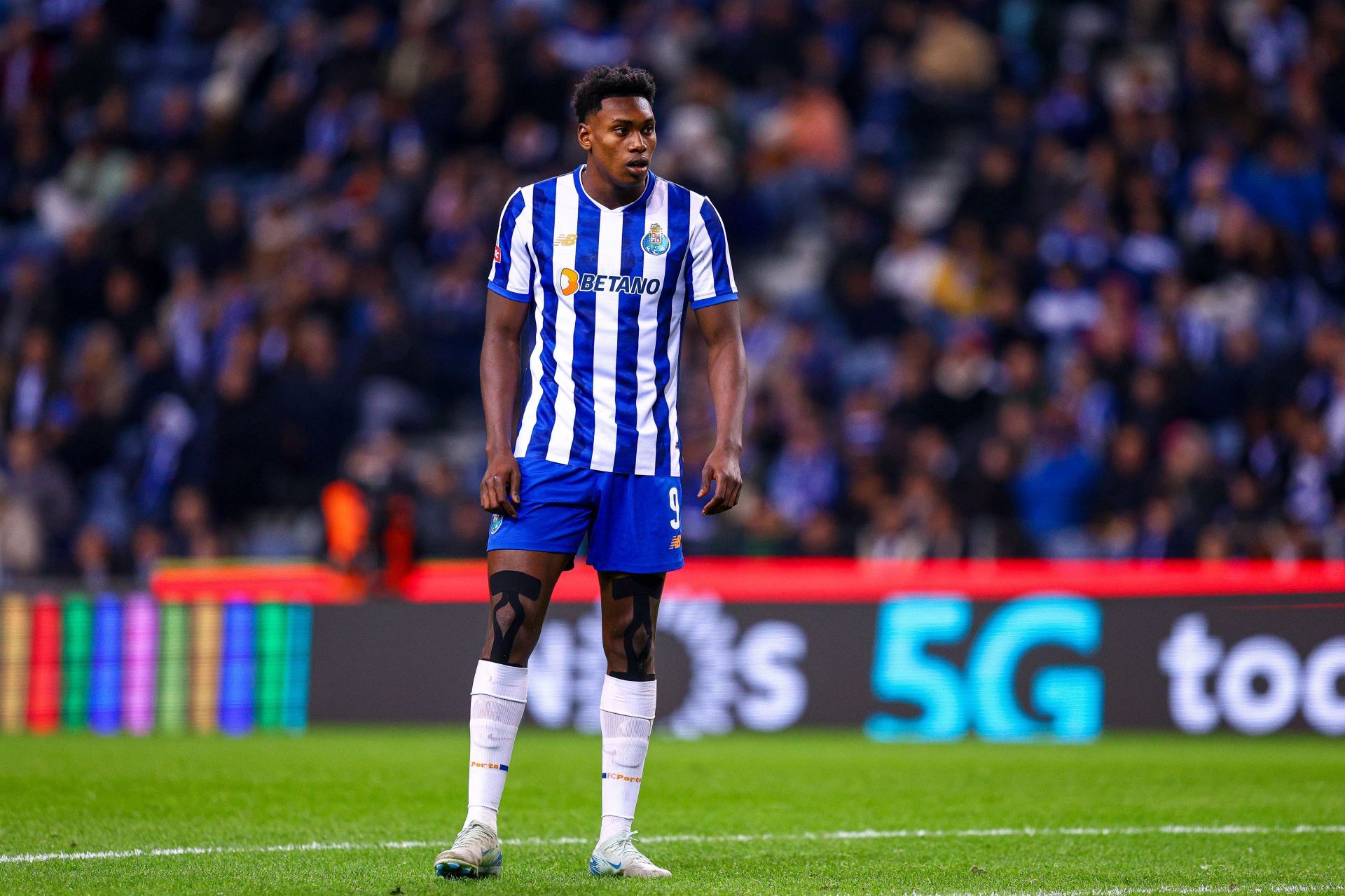 FC Porto v CF Estrela da Amadora - Liga Portugal Betclic - Source: Getty