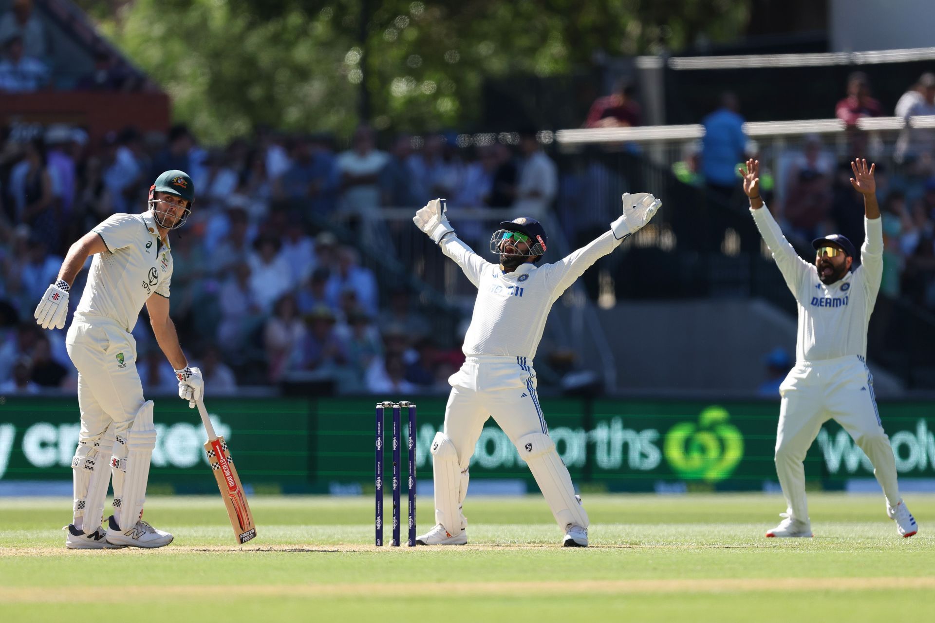 Australia v India - Men