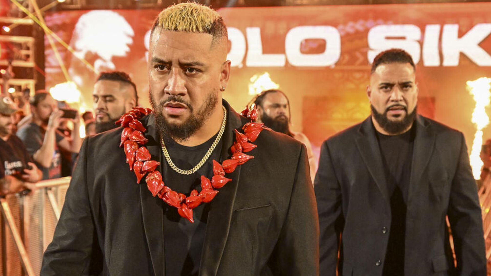 From left to right: Tama Tonga, Solo Sikoa, Jacob Fatu and Tanga Loa [Photo credit: WWE.com]