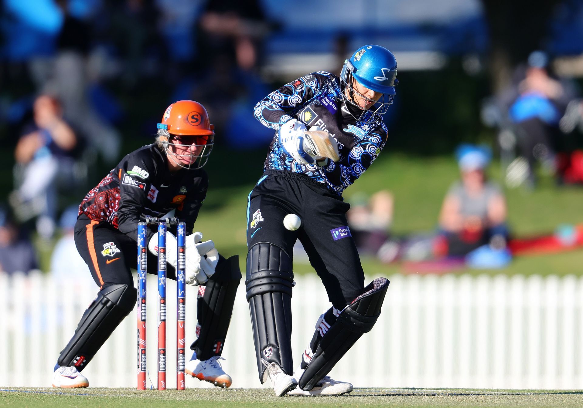 WBBL - Adelaide Strikers v Perth Scorchers - Source: Getty