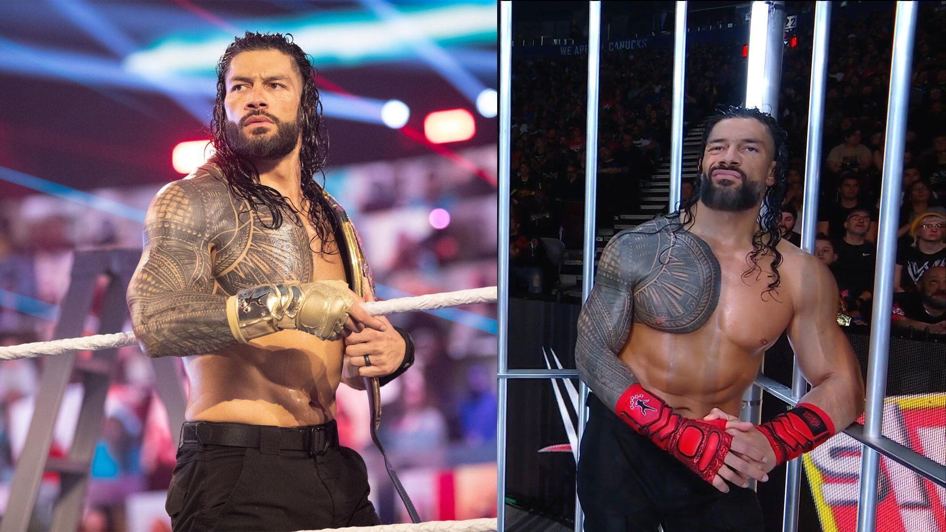 Roman Reigns won his match at Survivor Series (via WWE.com and WWE