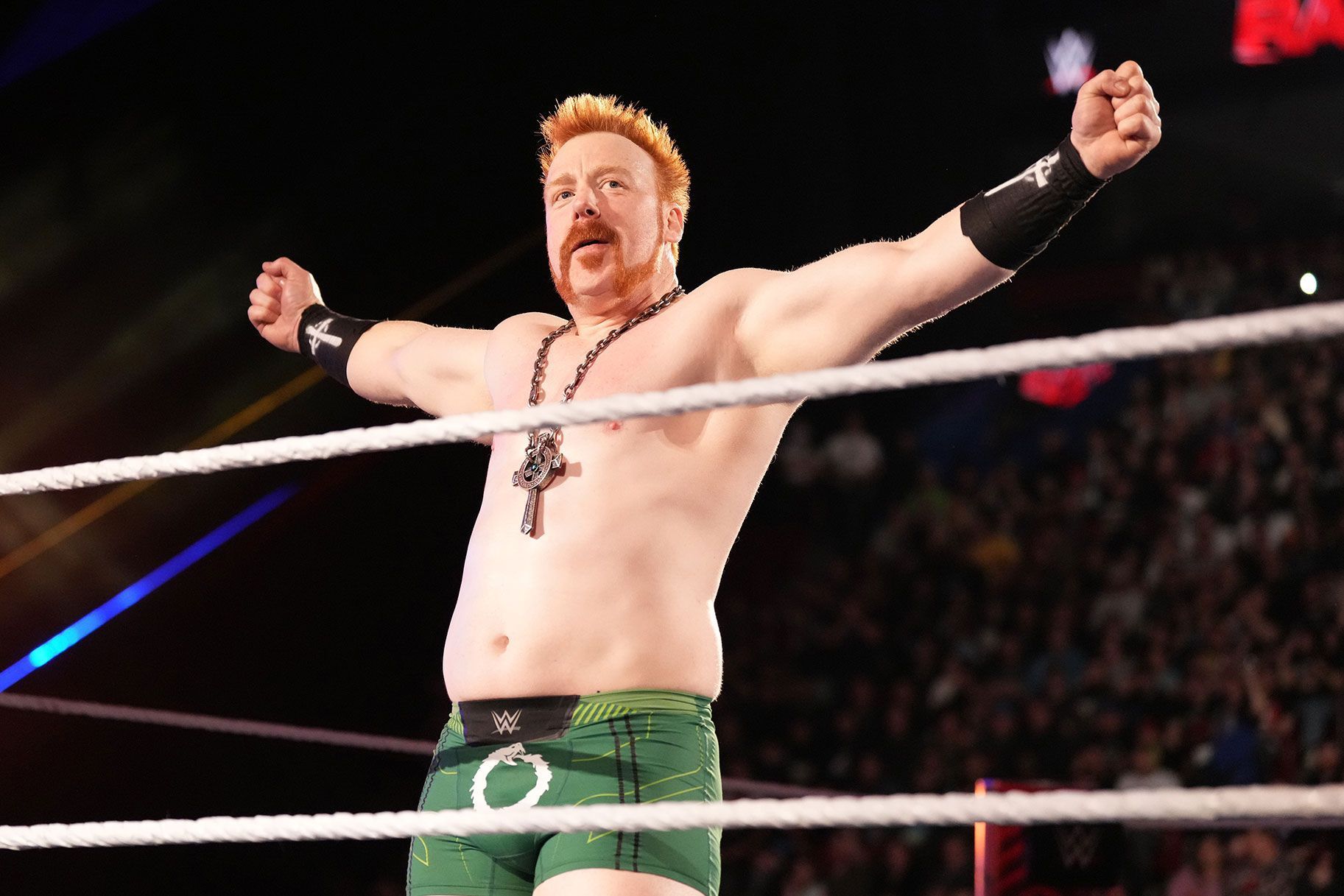 Sheamus has a new addition to his family (image via USA)