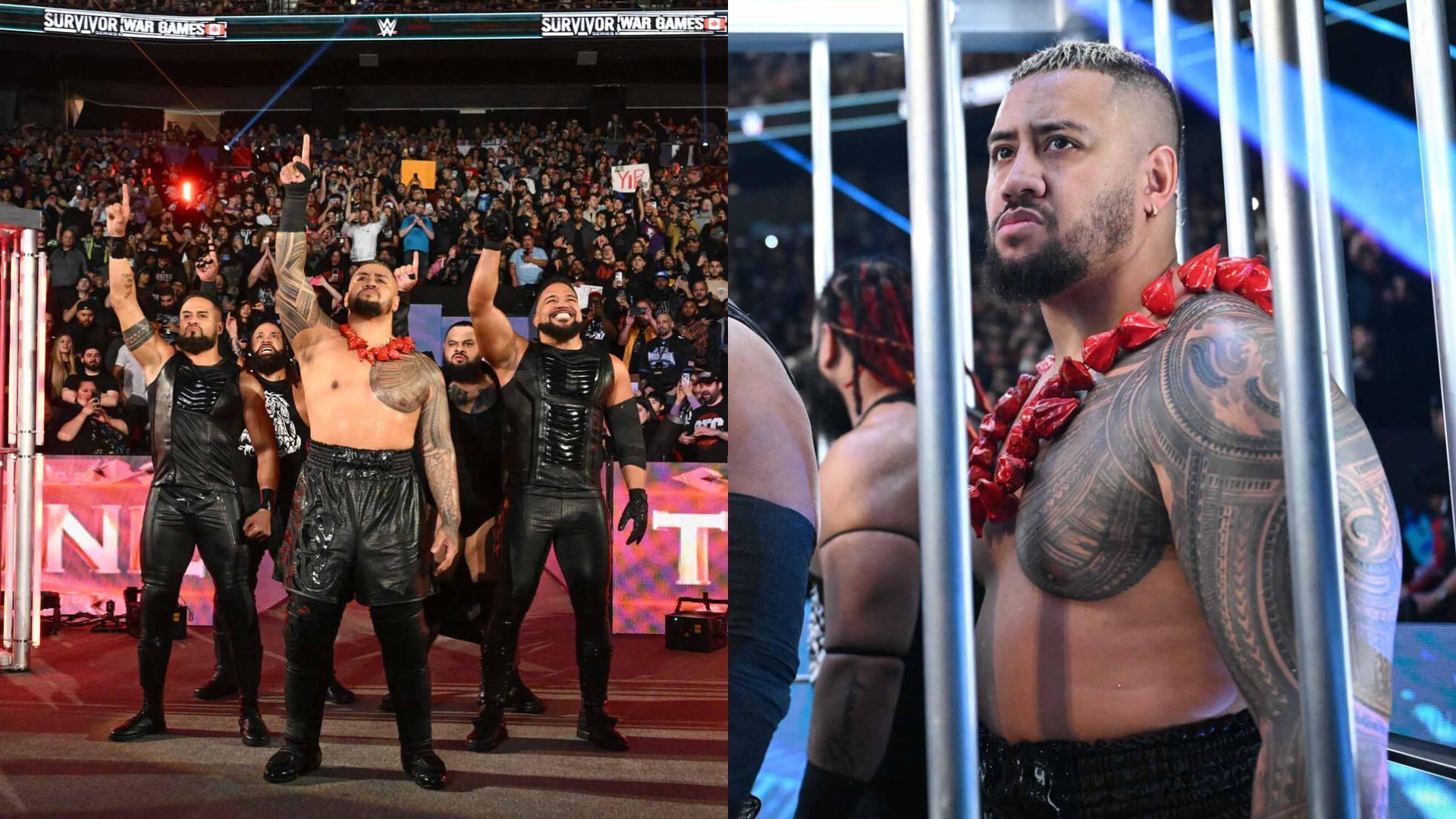 The OG Bloodline defeated The Bloodline at Survivor Series 2024! [Credits: WWE.Com]