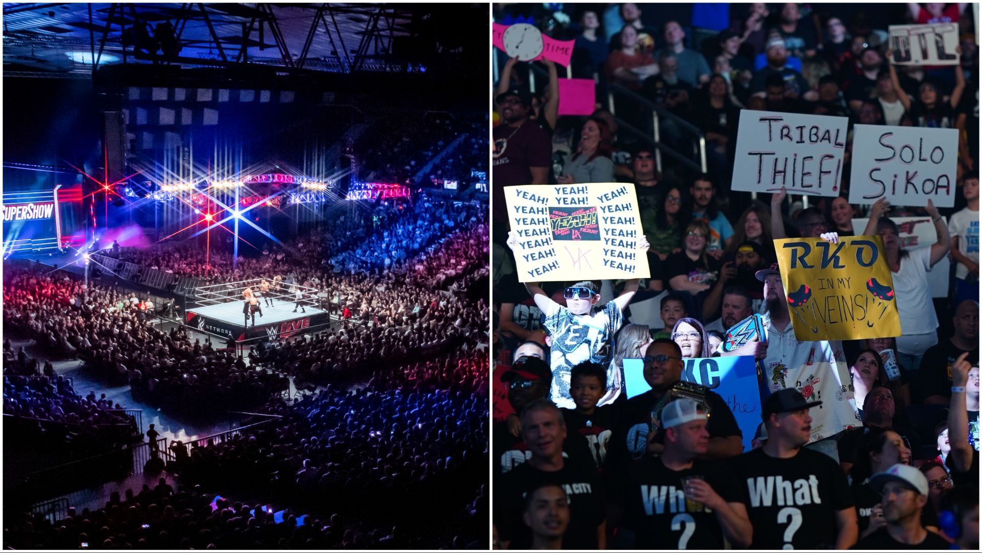 The WWE Universe cheers Superstars at live events